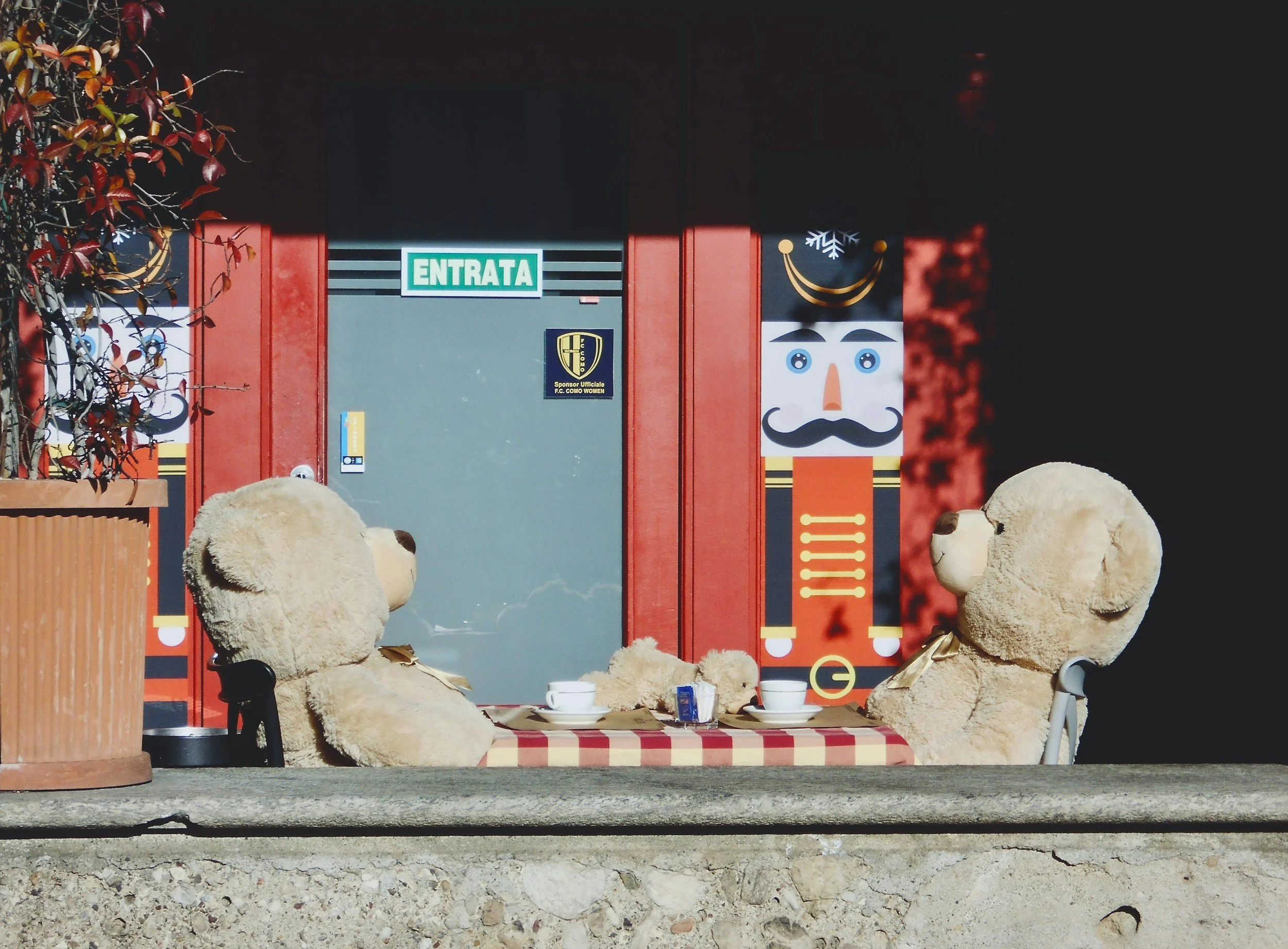 Teddy Bears Picnic 