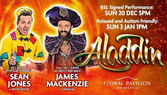 Accessible performances of Aladdin set to bring festive magic to more families.