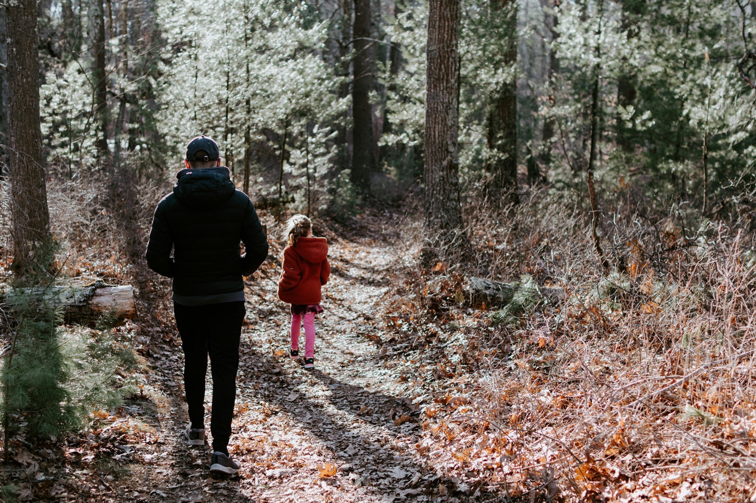 Wellbeing Walks