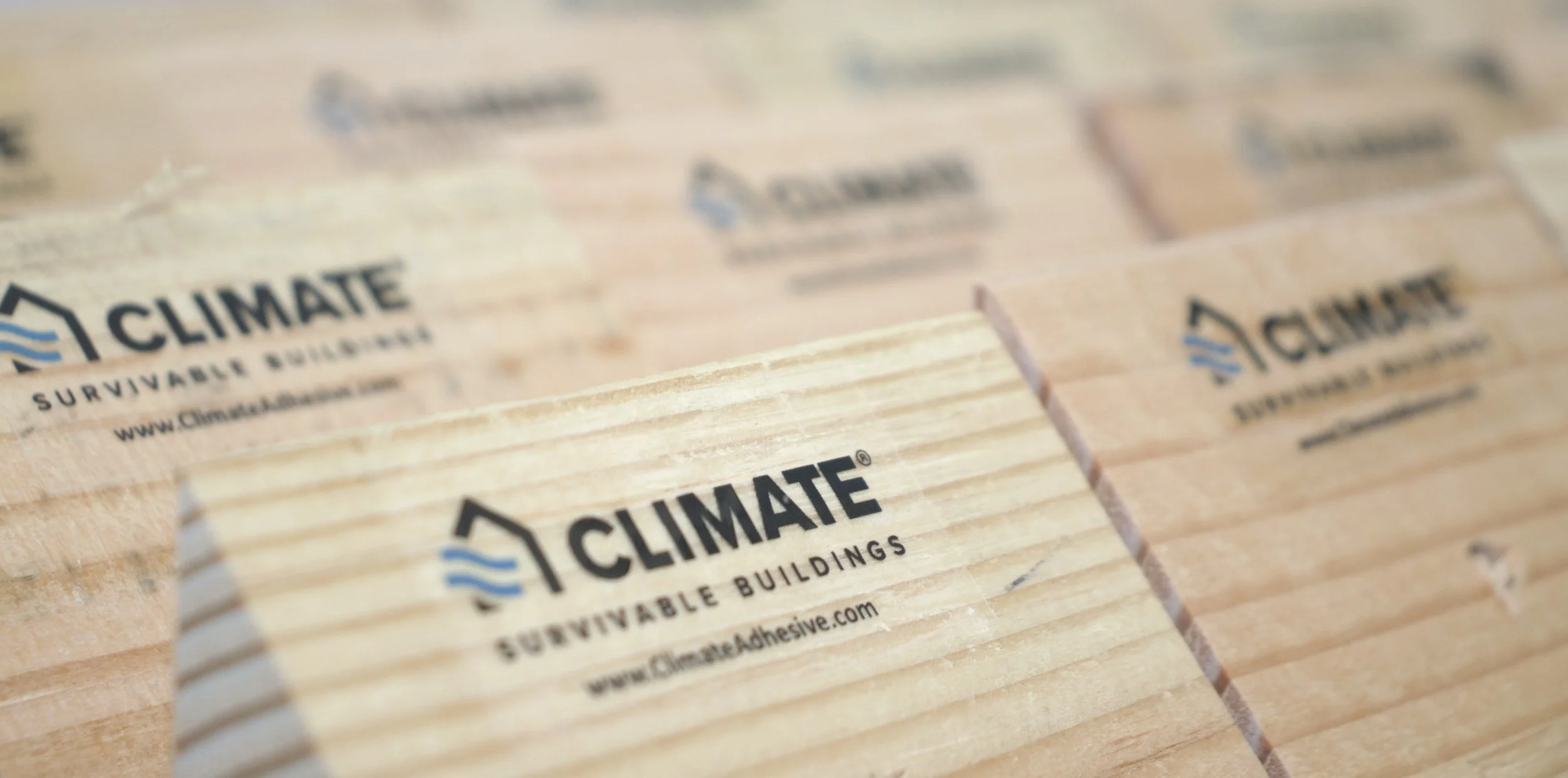 Copy of IMG_9093.jpeg