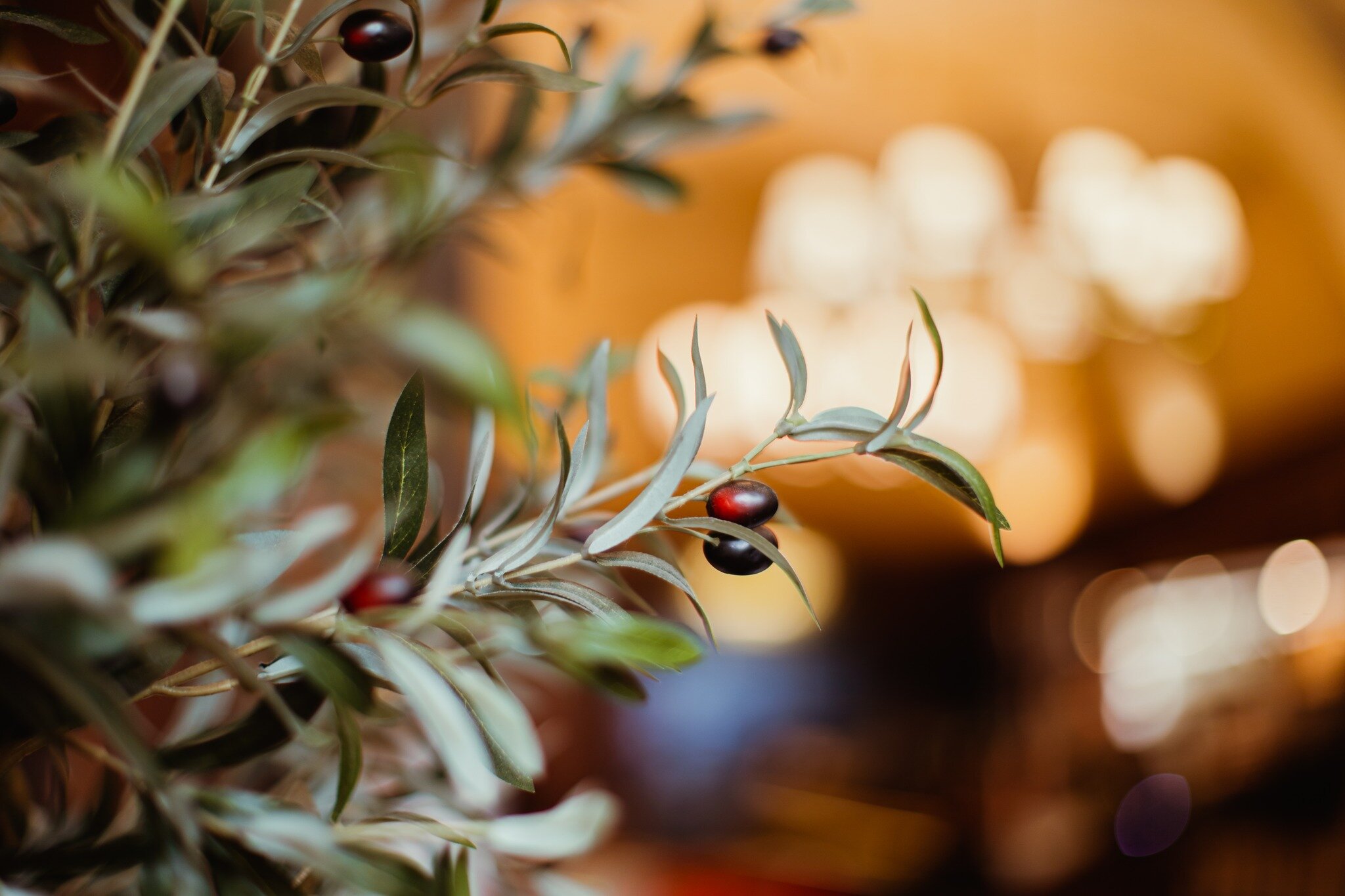 While the olive tree symbolizes stability and tranquility or the eternal link between man and the earth, the olive branch is an offer of peace and friendship. 

We chose it as our main motif because it represents how our guests feel when they enter o