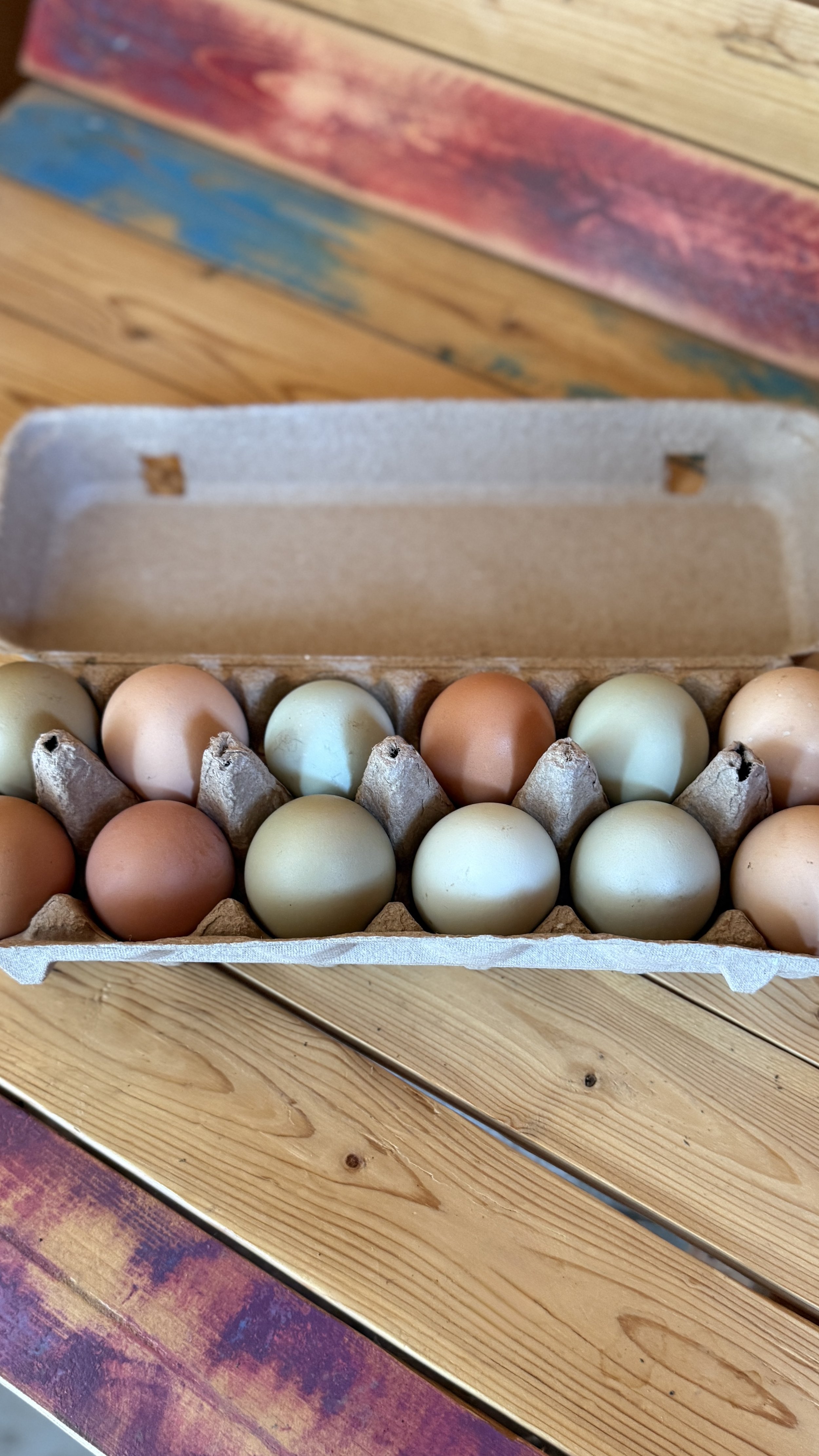 Eggs.jpg