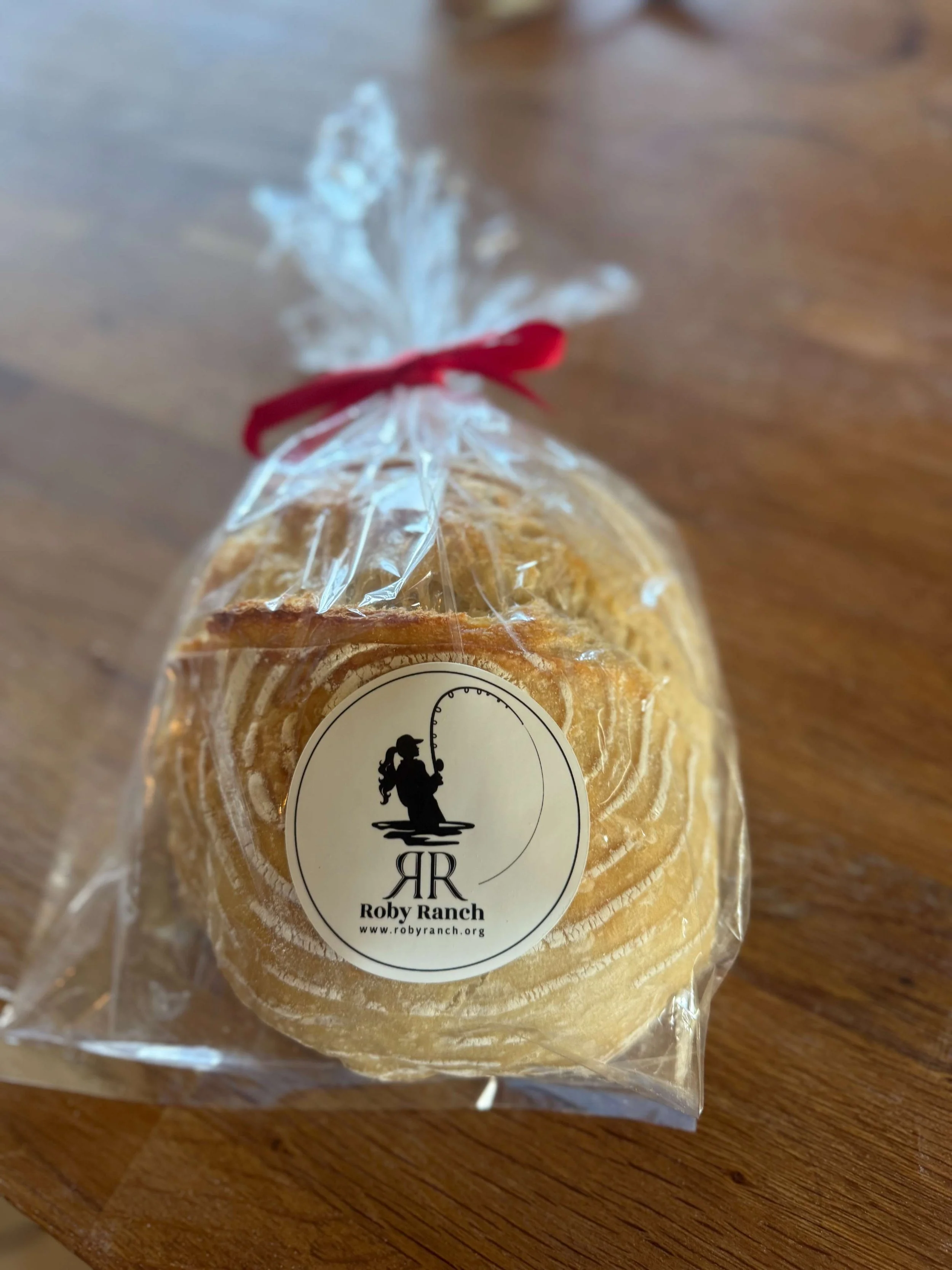 Intro to Sourdough Class-Red Bluff Rotary