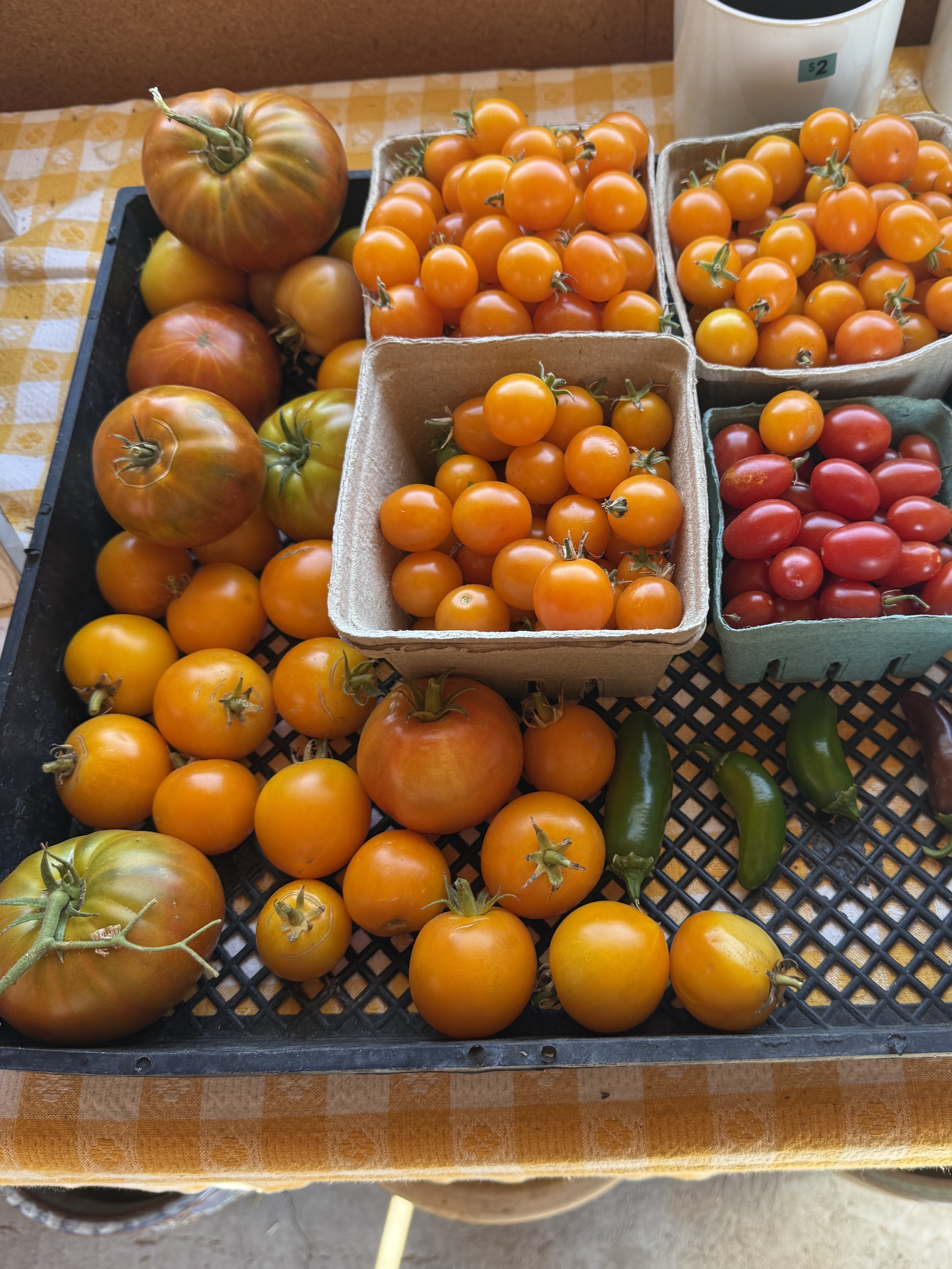 Tomatoes-roby-ranch.JPG