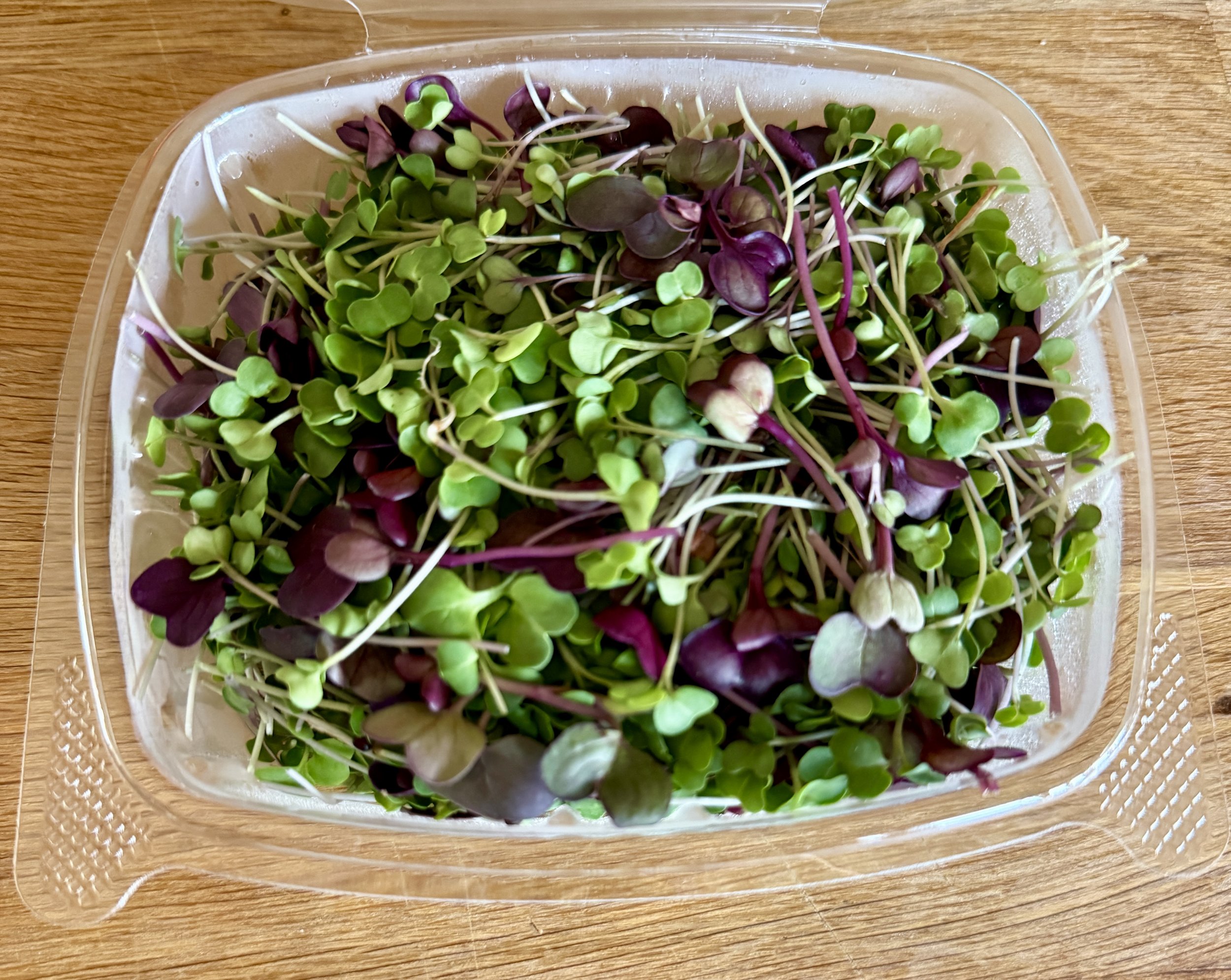 microgreens-roby-ranch.jpg