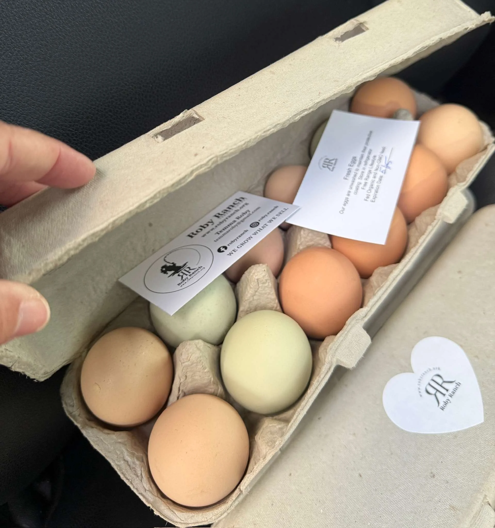 eggs-and-carton.jpg