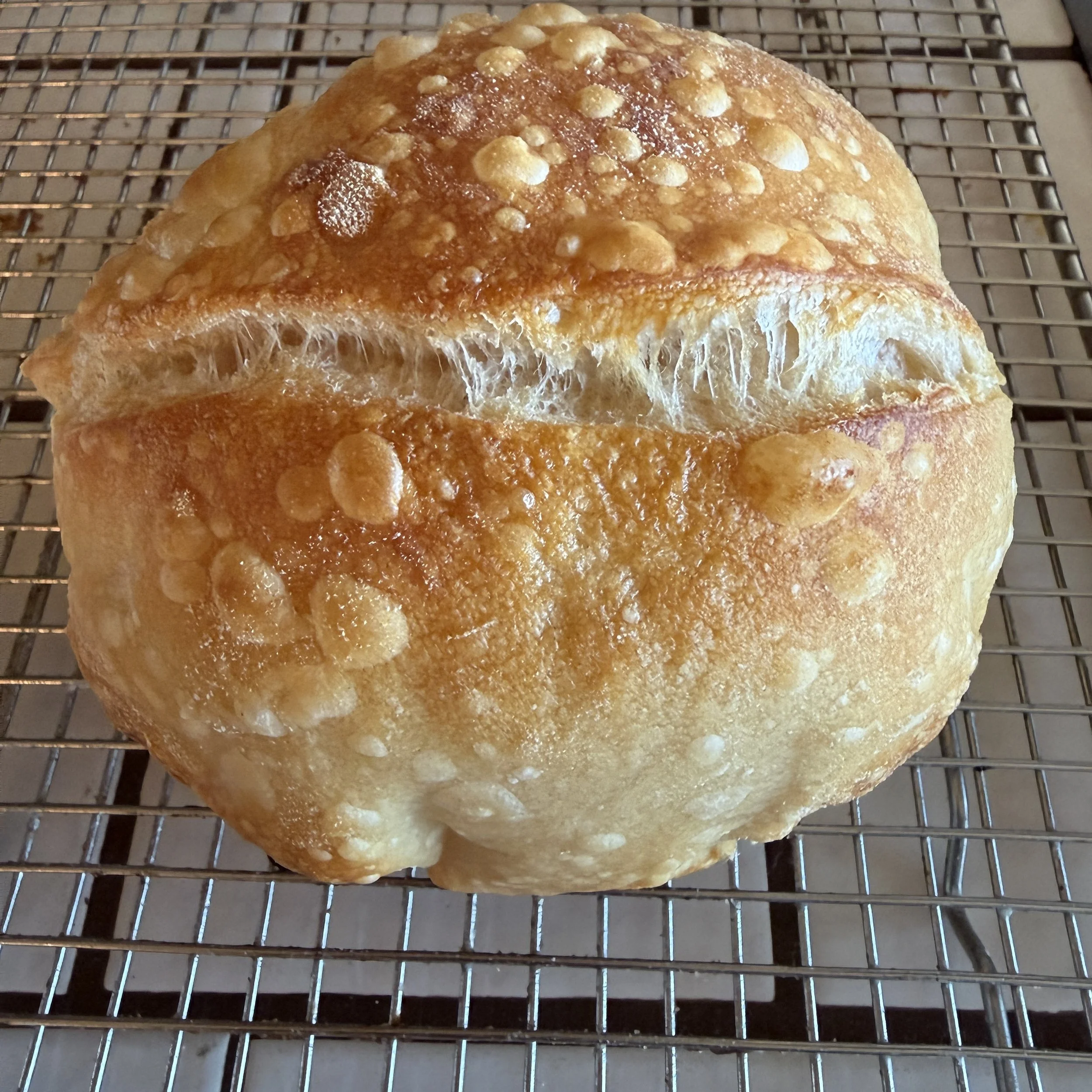 Sourdough Tune-Up-June 27th 9:00-10:00