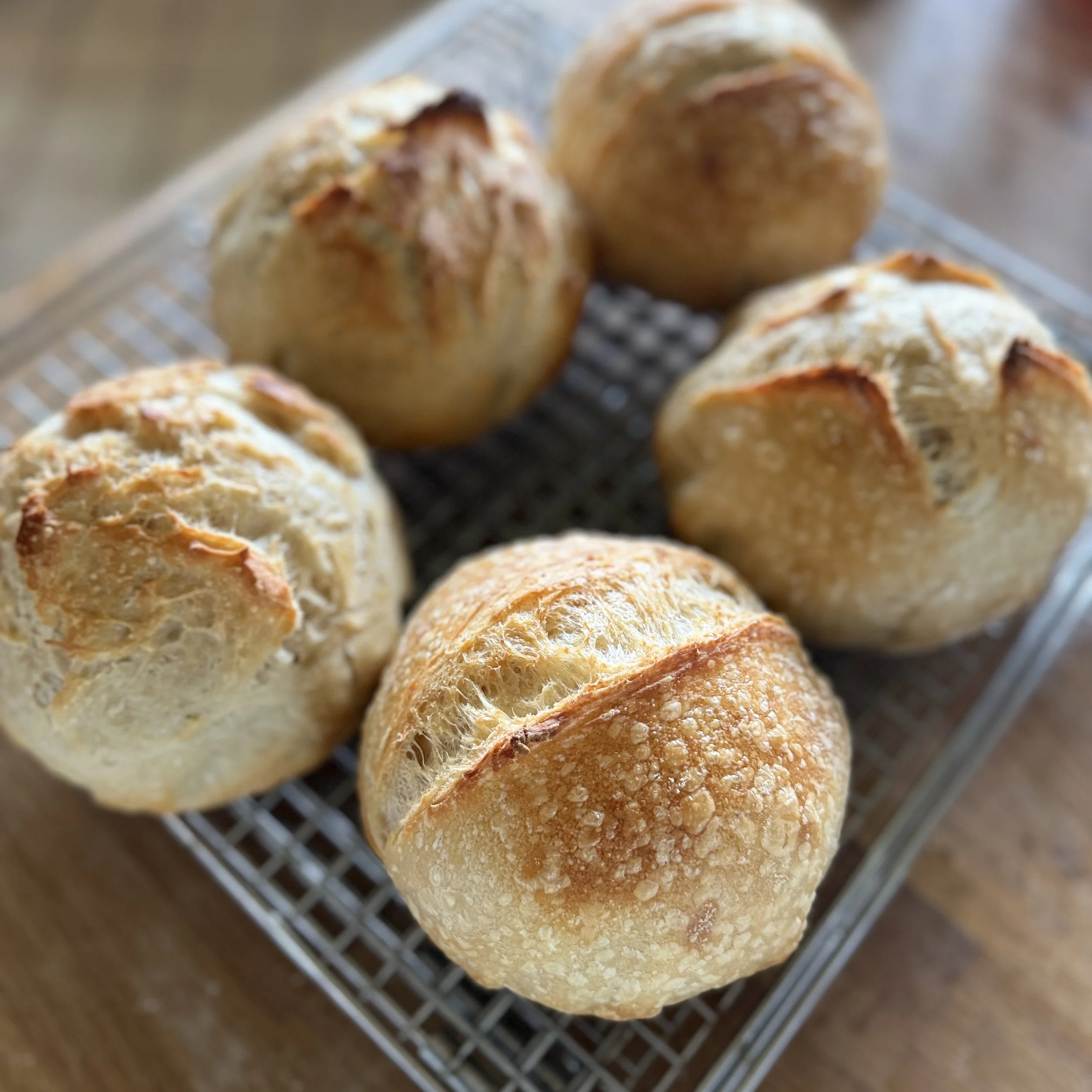 Intro to Sourdough Class Saturday June 27th 10:00-12:00