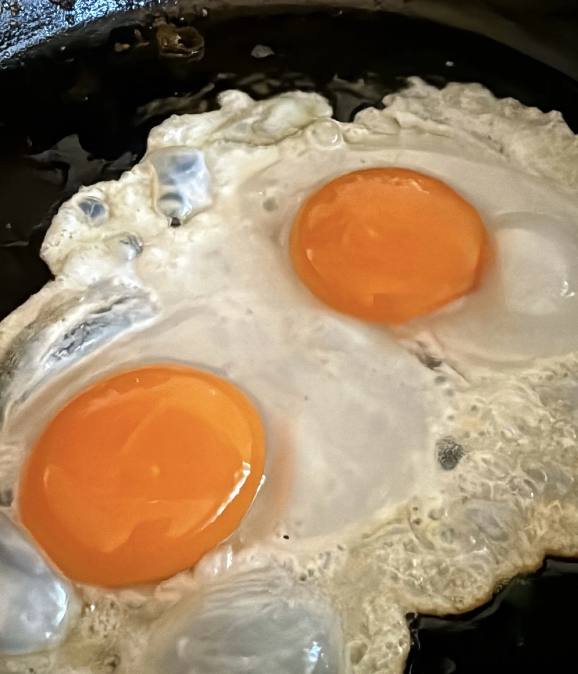 duckeggs.jpg