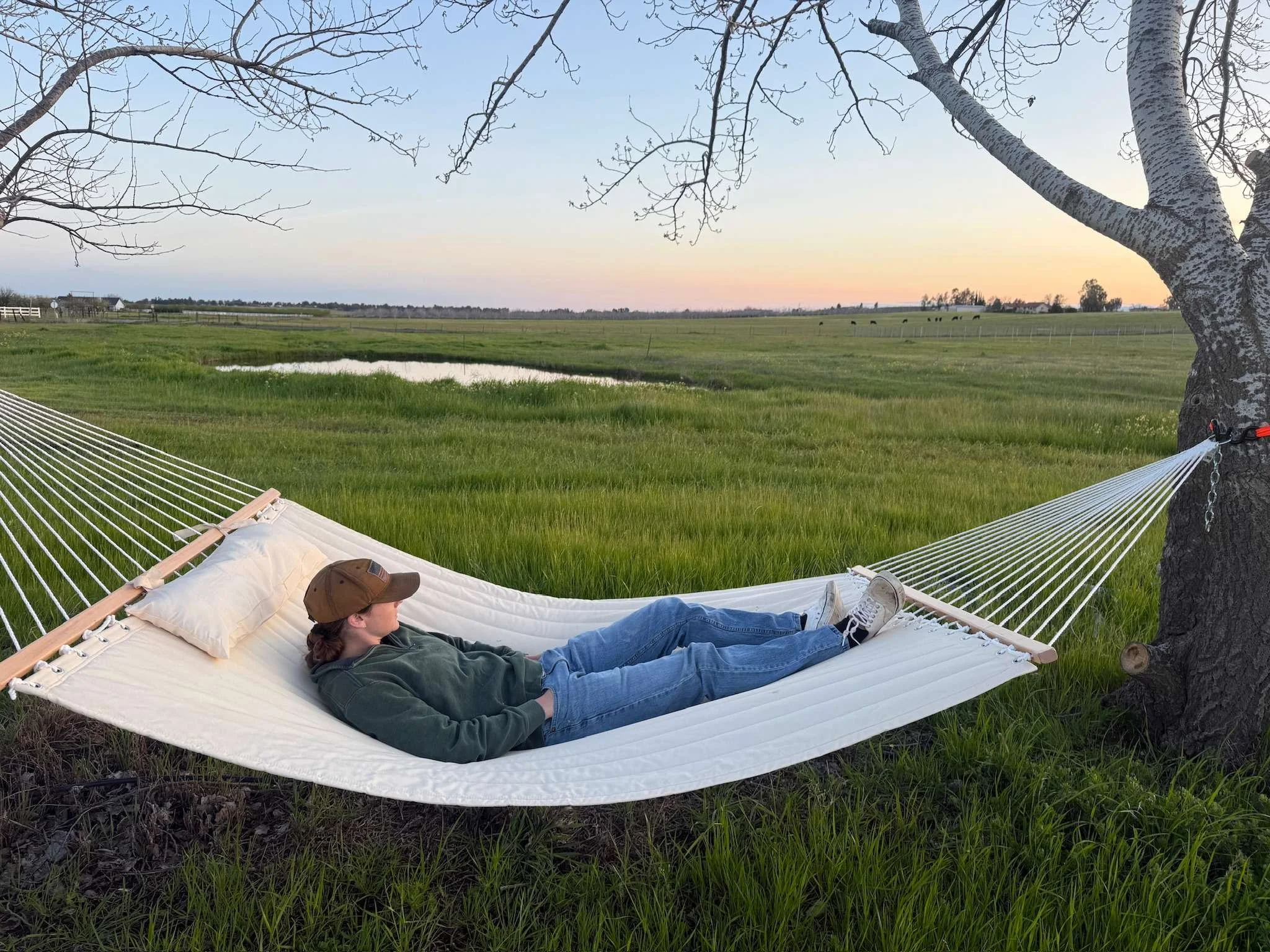 Person lying in a hammock tied between two trees in a grassy field during sunset