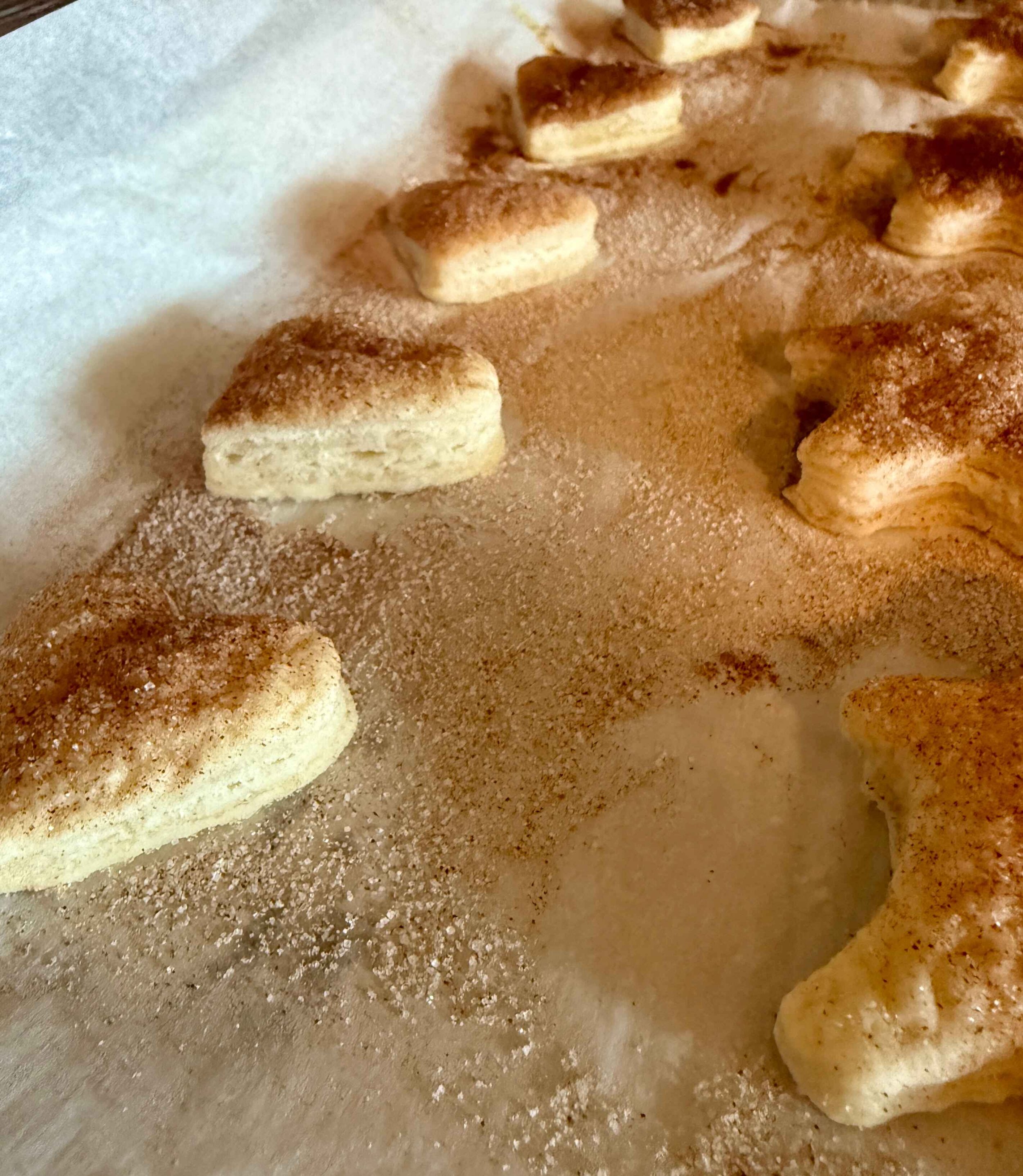 Sourdough Discard Class and Q&As January 24th 2026 10:00-12:00