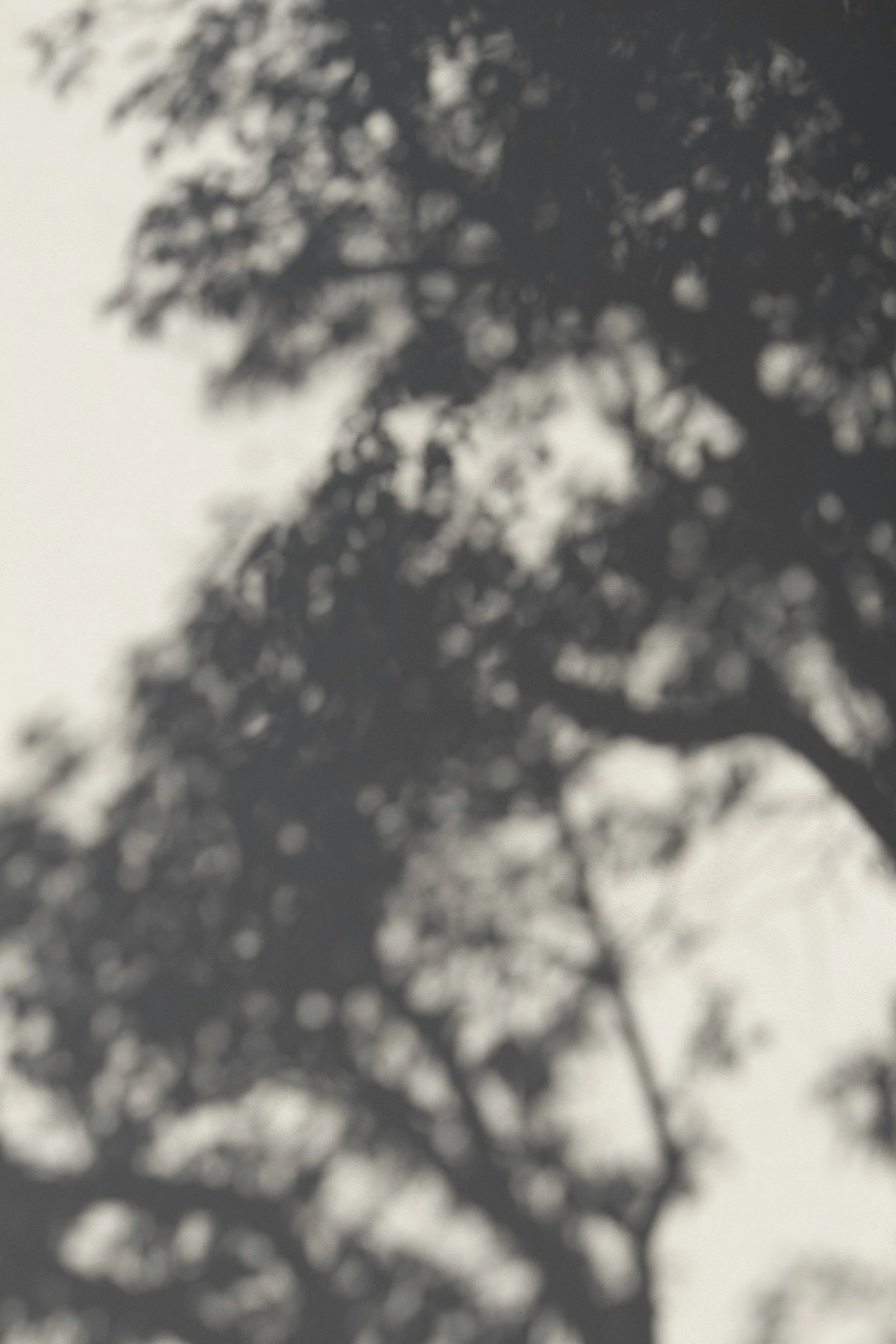 How to Set Boundaries with Parents as an Adult (Without Guilt)