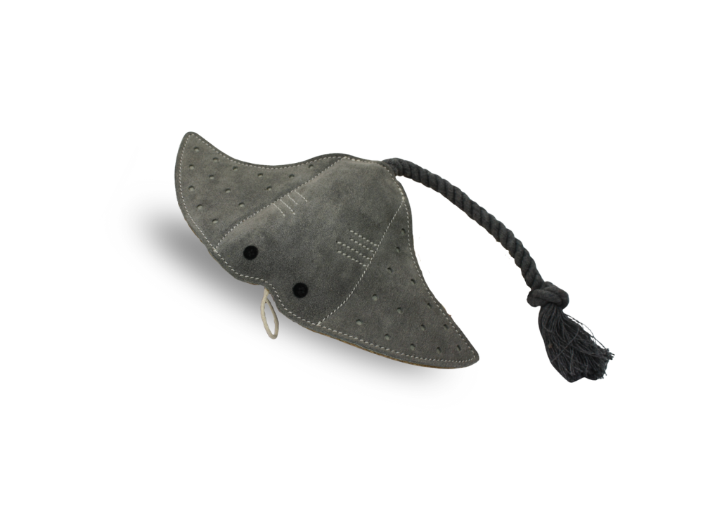 stingraydogtoy (1).png