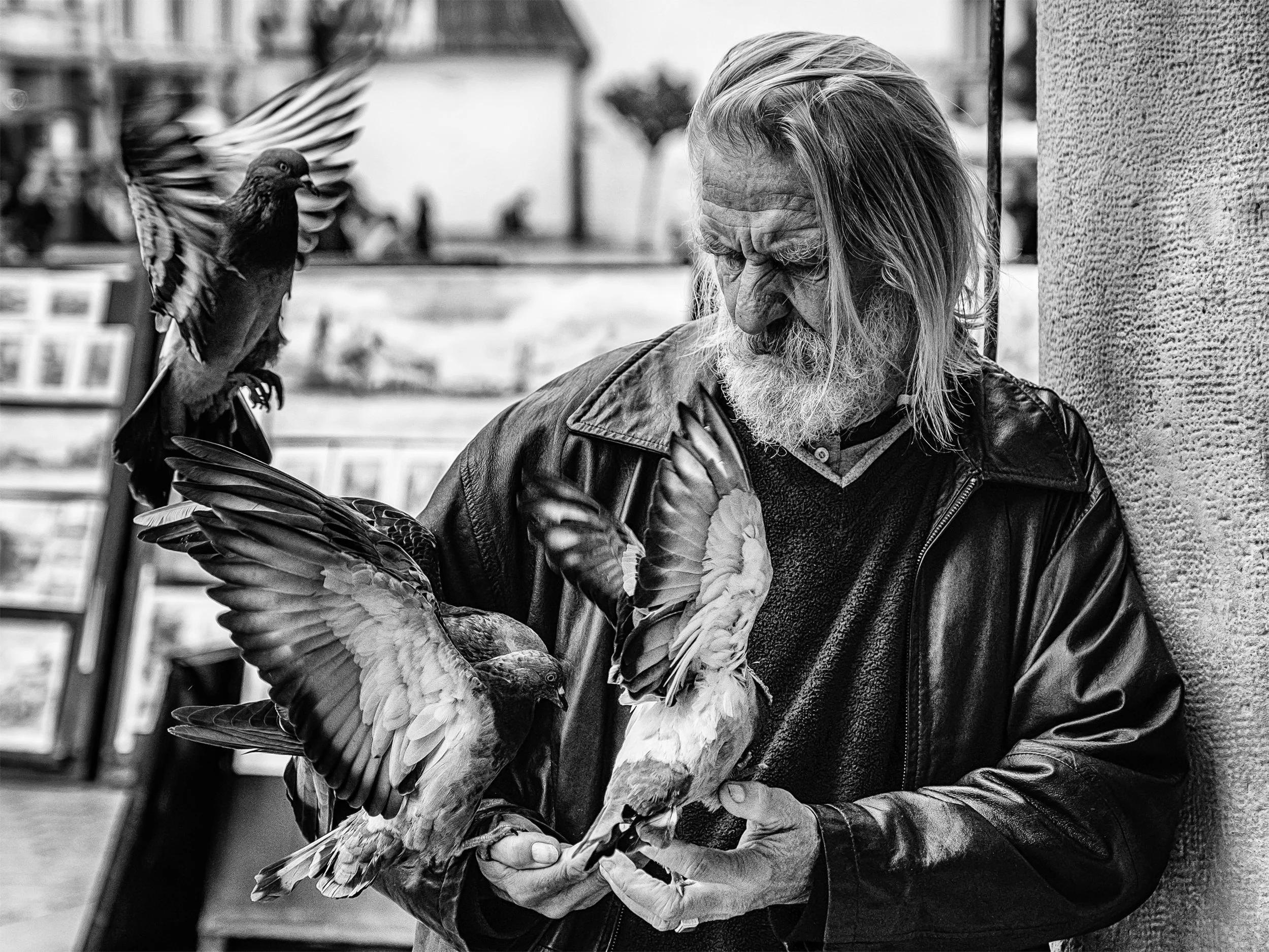 Birdman.jpg