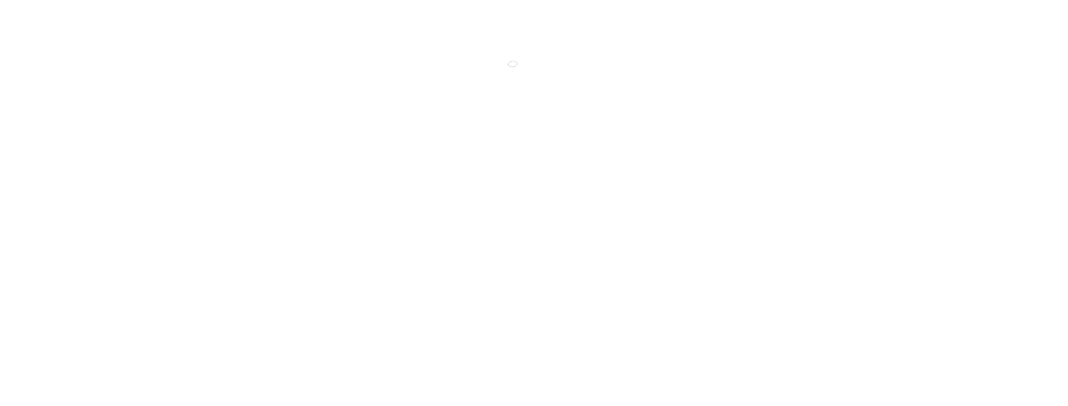 Politeama Roof