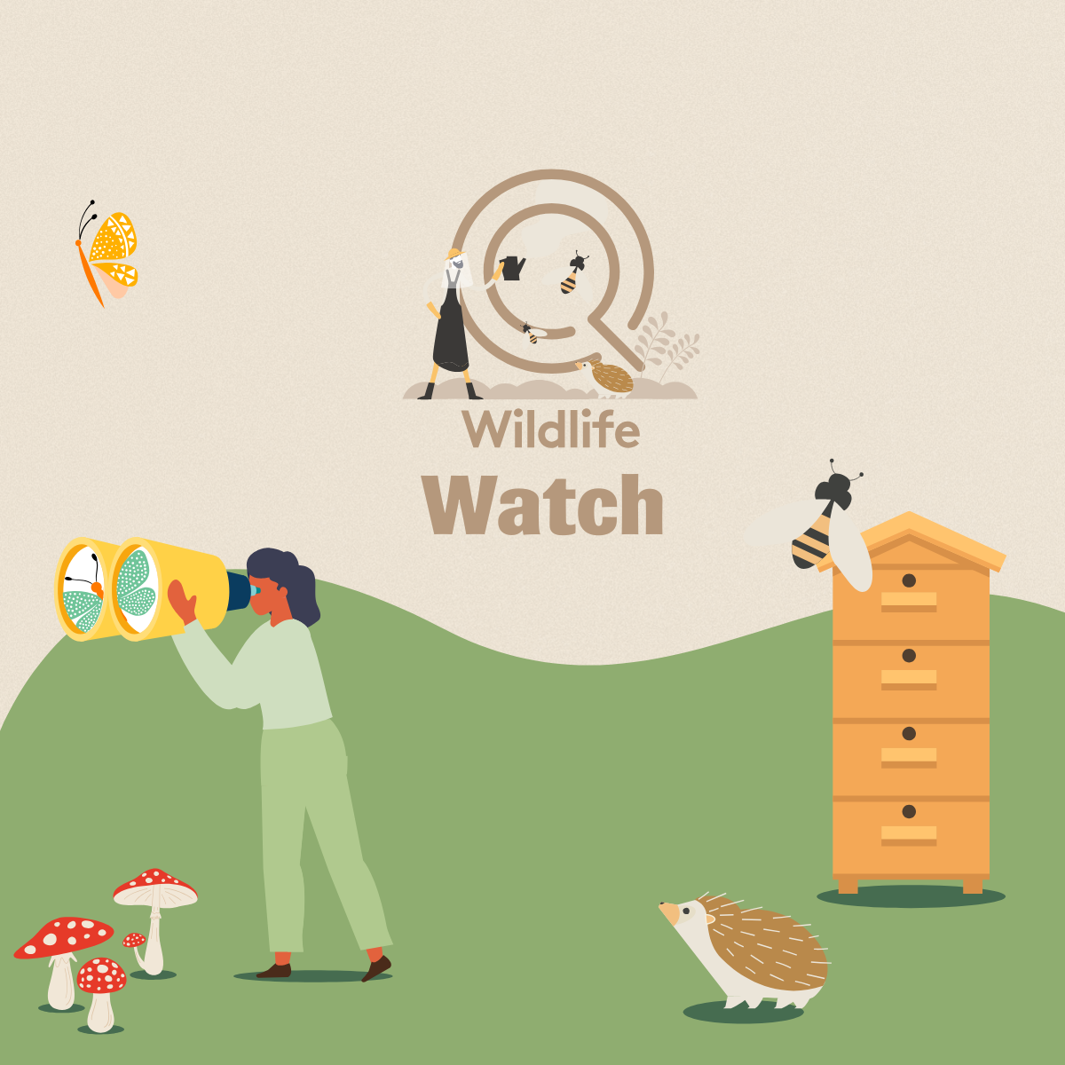 Wildlife Watch