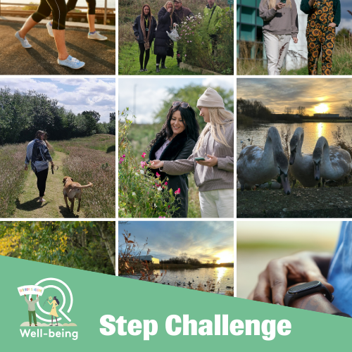 Step Challenge