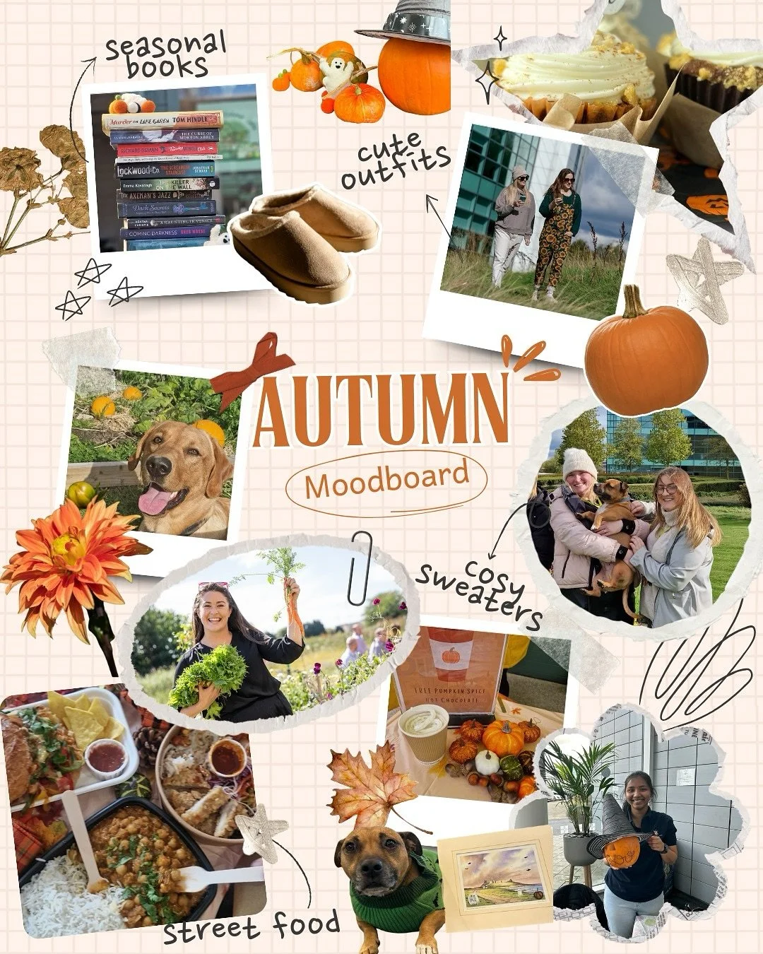 Autumn Netwalk