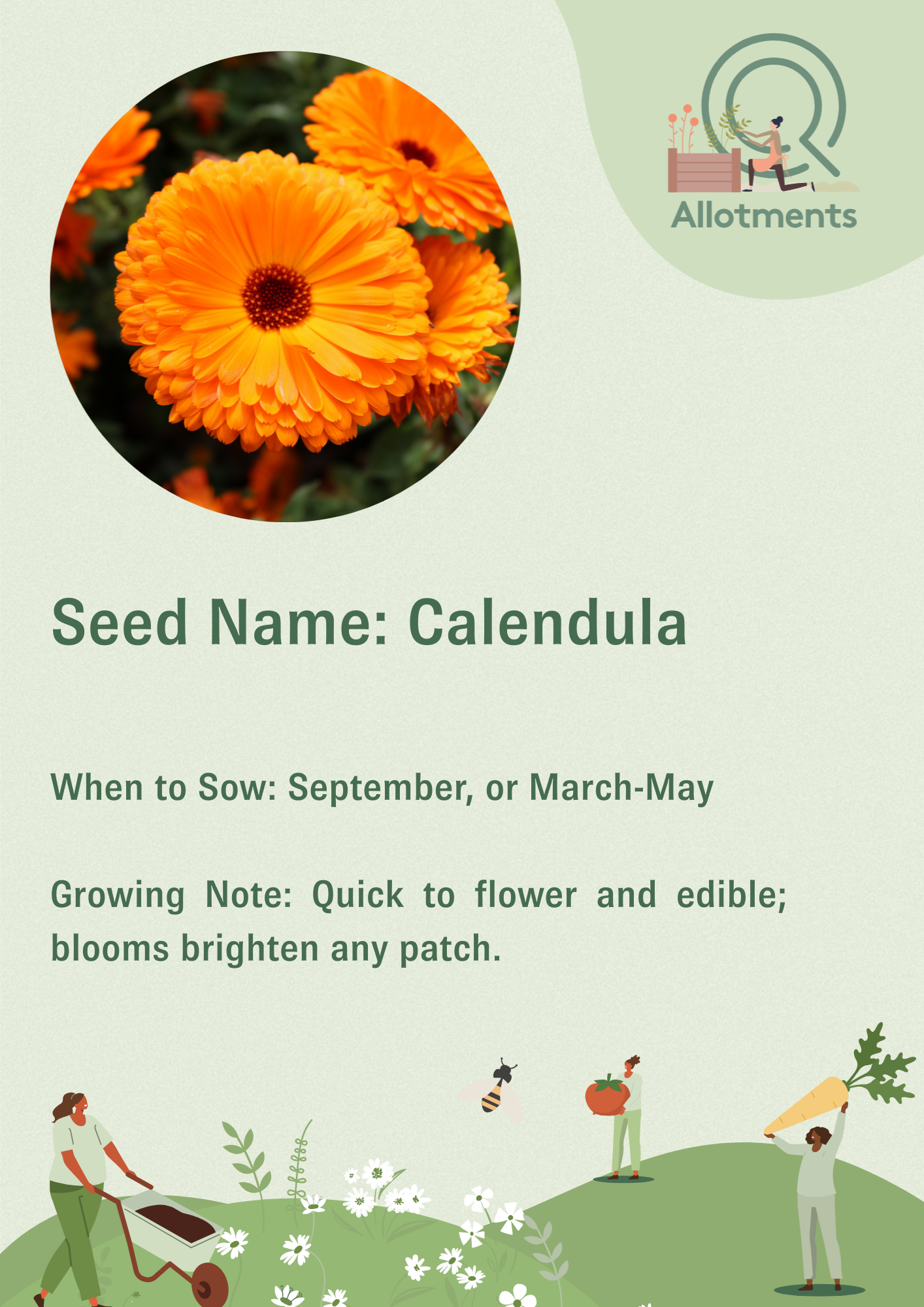 Allotments Vector Post.png