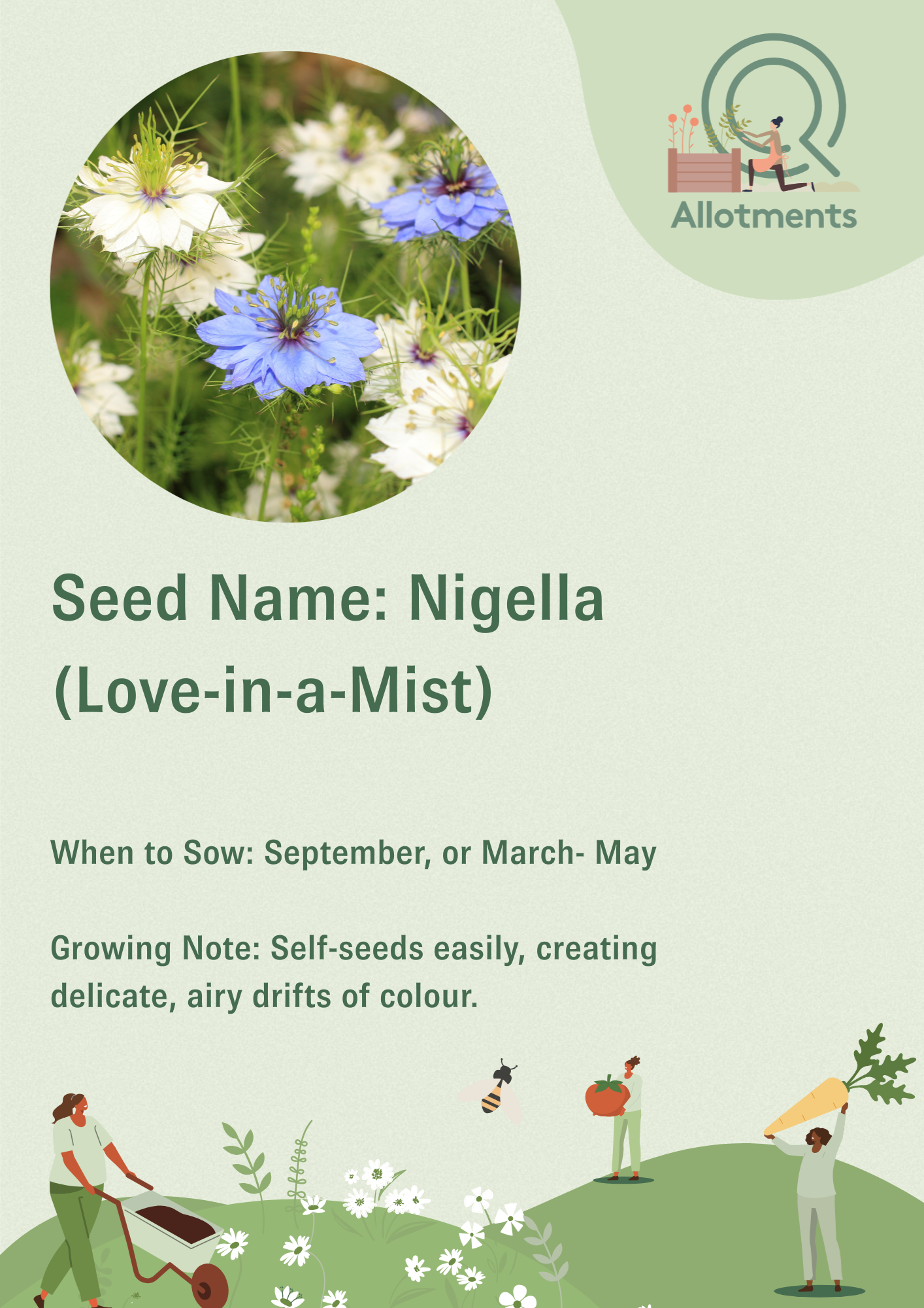 Allotments Vector Post (3).png