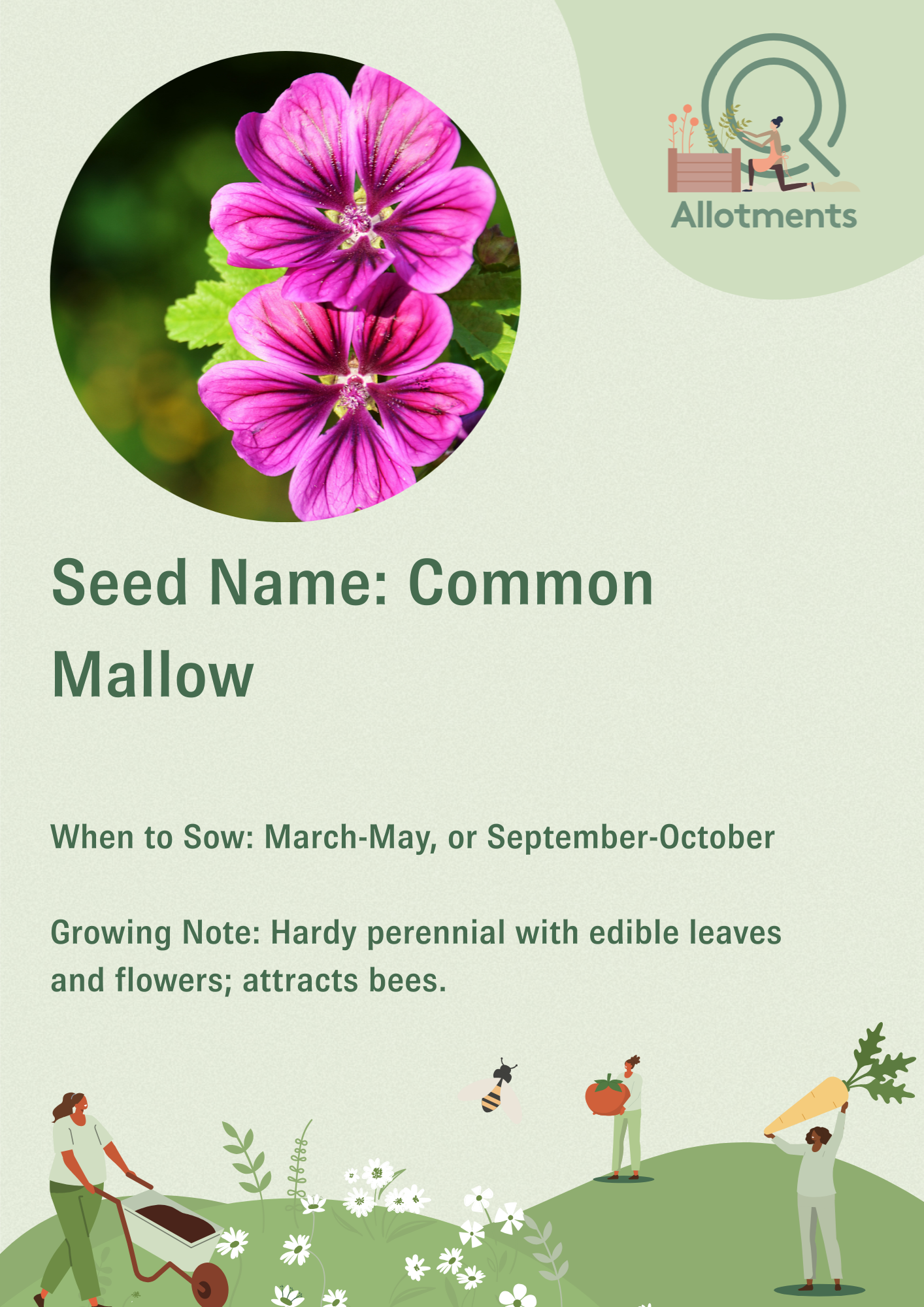 Allotments Vector Post (11).png