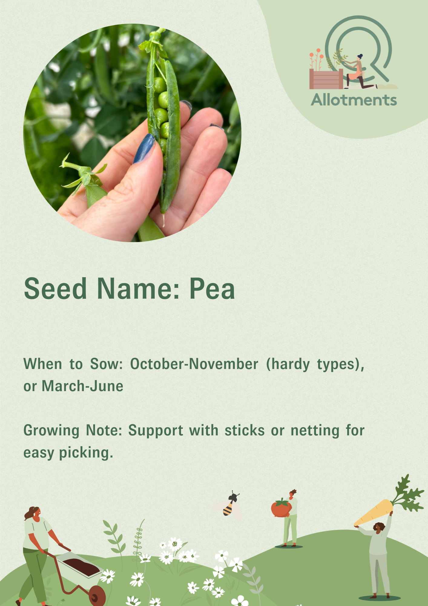 Allotments Vector Post (5).png