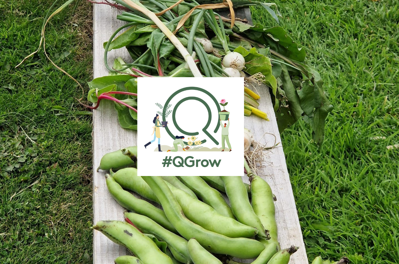 🥕 #QGrow April: Early Edibles – Sow, Plant, Harvest