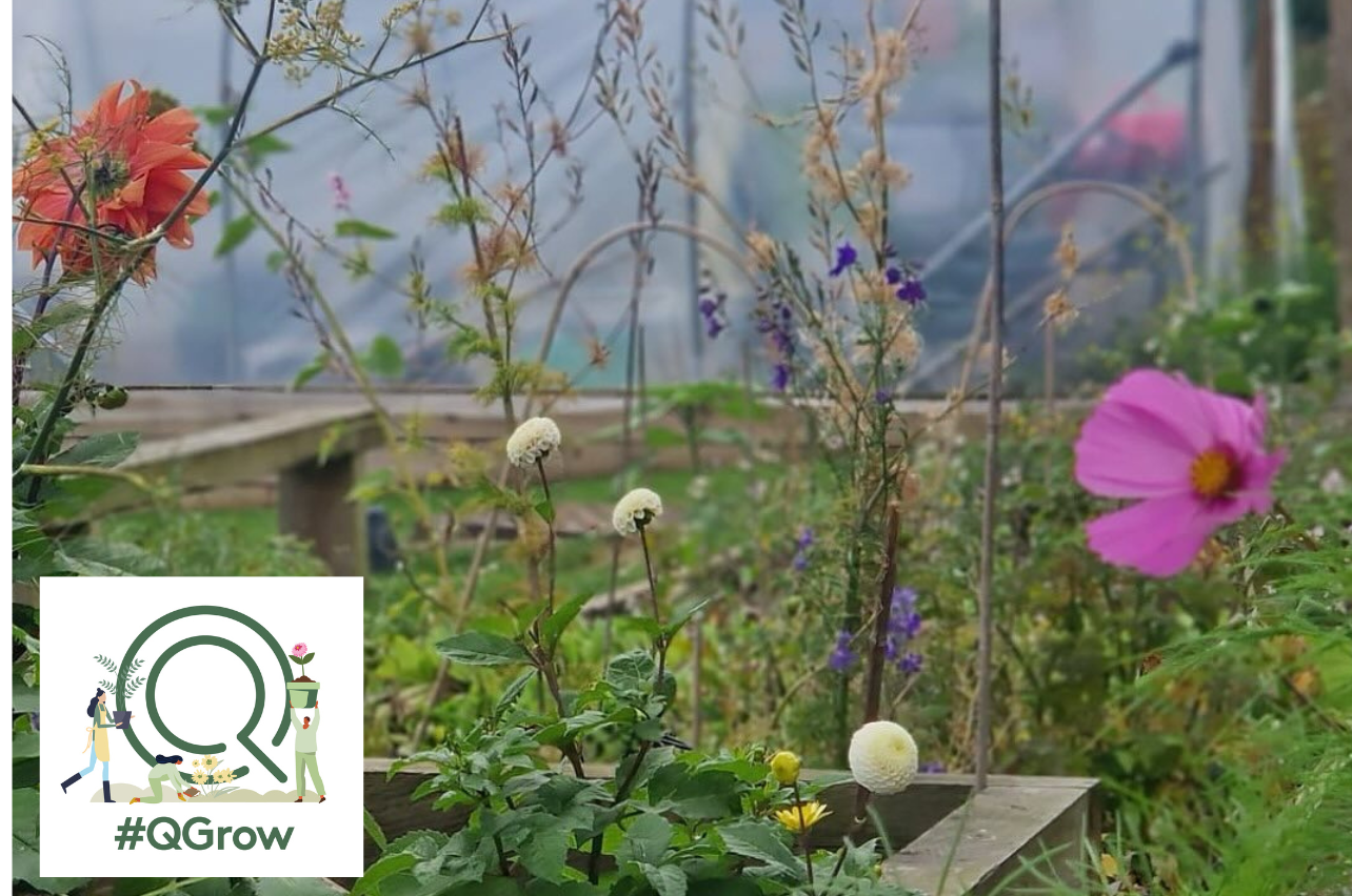 🌿 #QGrow June: Nurture &amp; Nature - Caring for What’s Growing