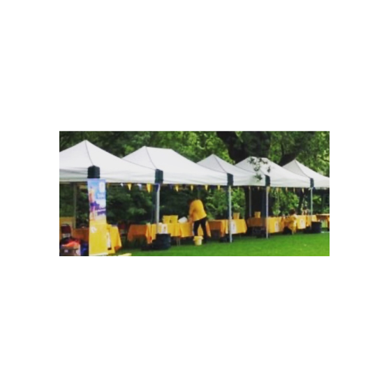 Opt to have no sides on the gazebo.png