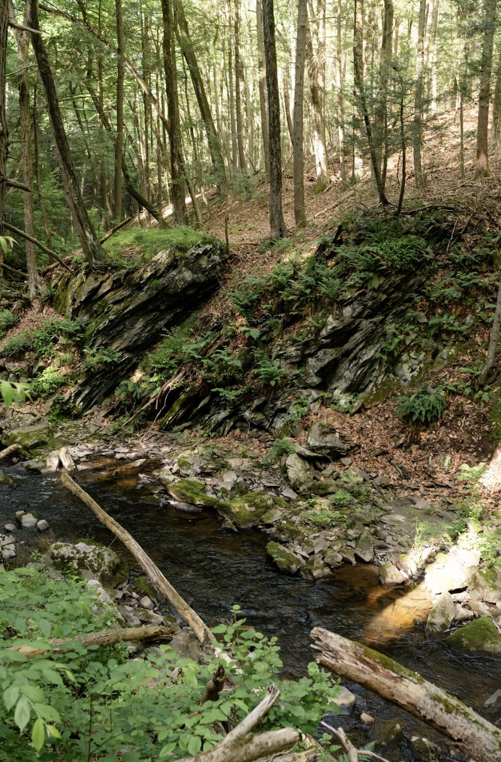 The New Buxton Gorge