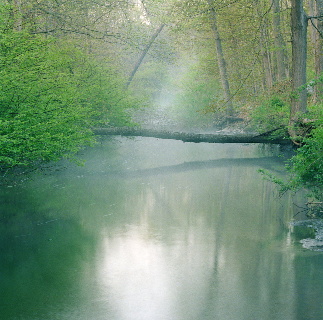 The Mianus River Gorge