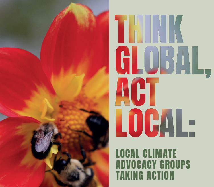 Think global, act local