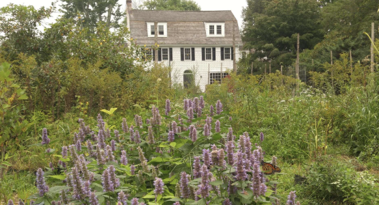 2025 Growing Season at Sugar Hill Farm