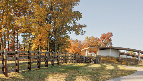 Autumn Stroll @ Grace Farms