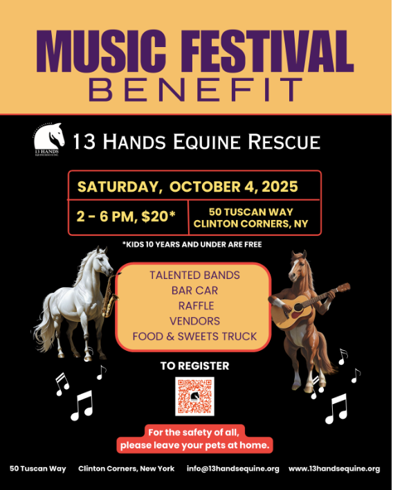Music Festival Benefit