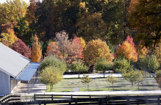 Grace Farms 10 Year Season | Encounter, Experience, Explore
