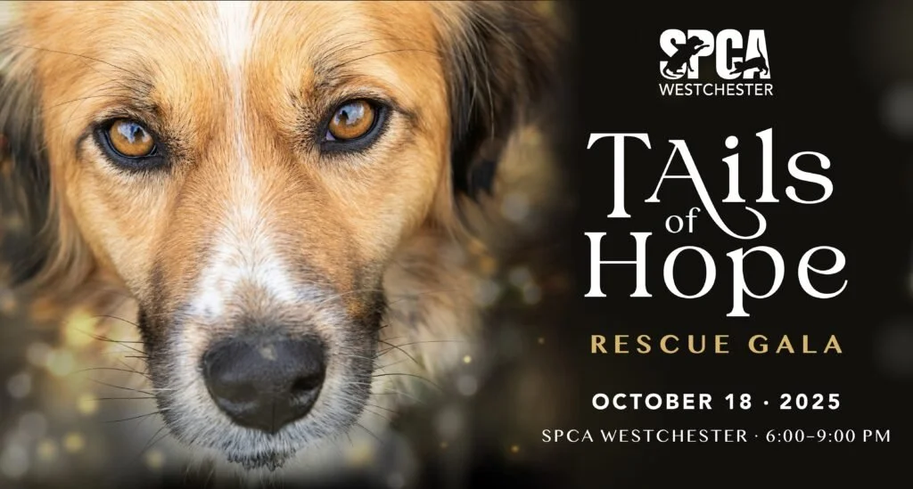 Tails of Hope Rescue Gala