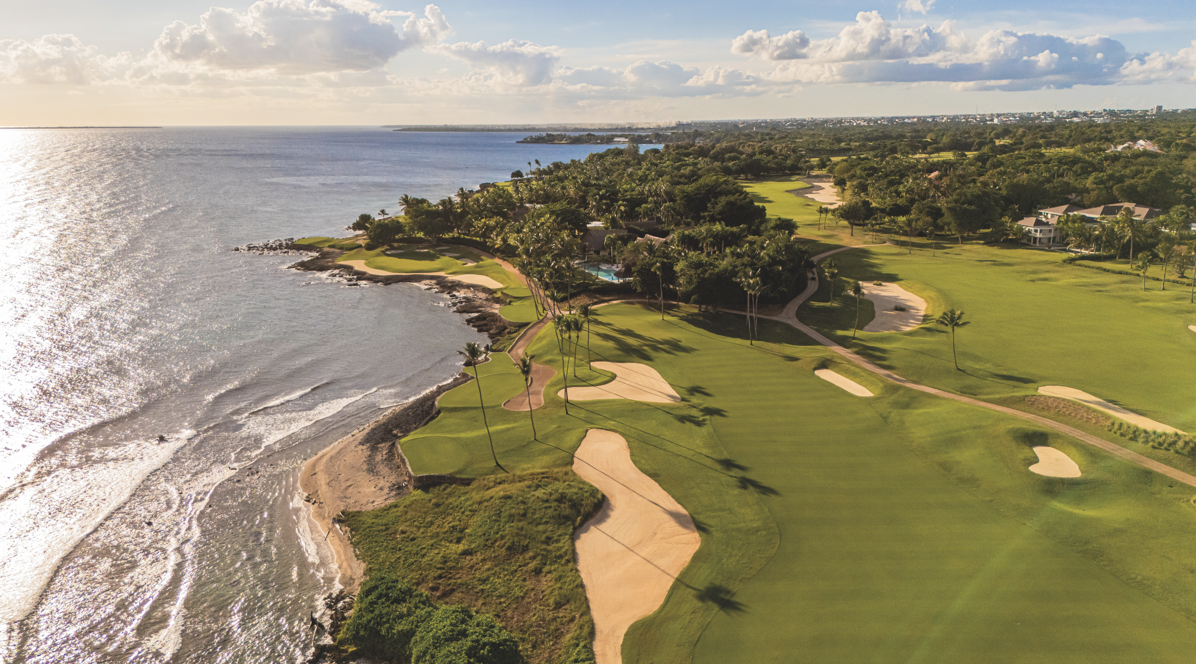 Teeth of the Dog… is back!