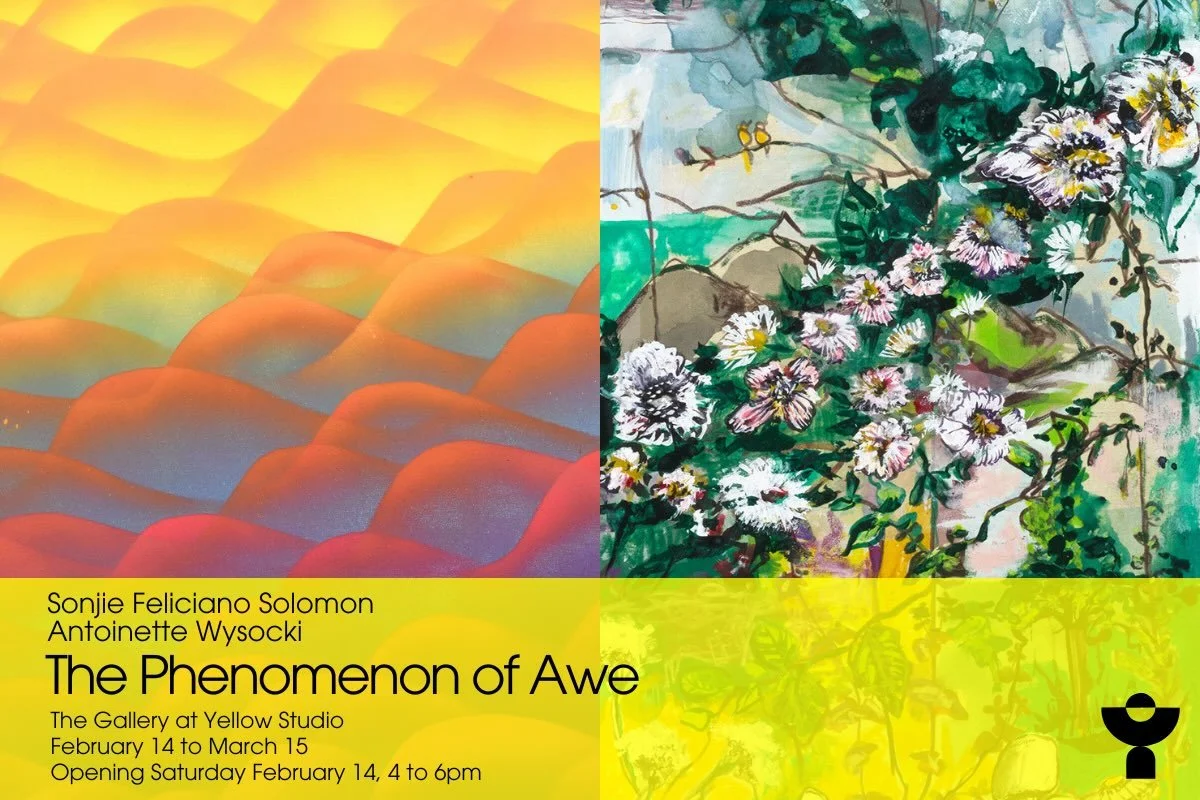 Opening Reception for The Phenomenon of Awe at The Gallery at Yellow Studio