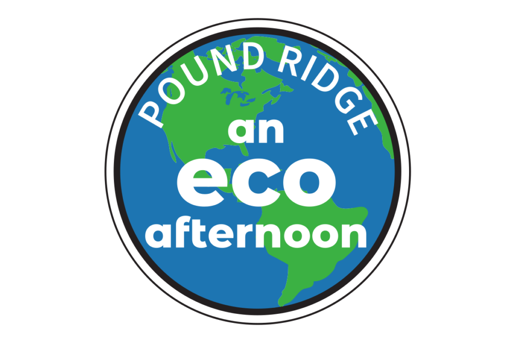 An Eco Afternoon