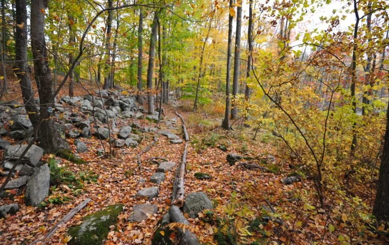 Trail Maintenance at Westchester Wilderness Walk/Zofnass  Family Preserve