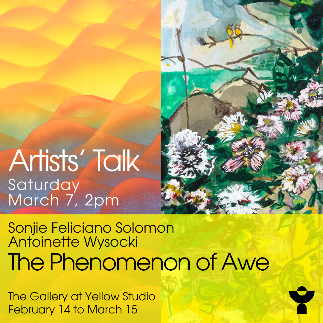 Artists' Talk: The Phenomenon of Awe