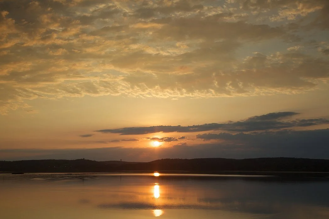 Golden Hour: Eagles on the Hudson