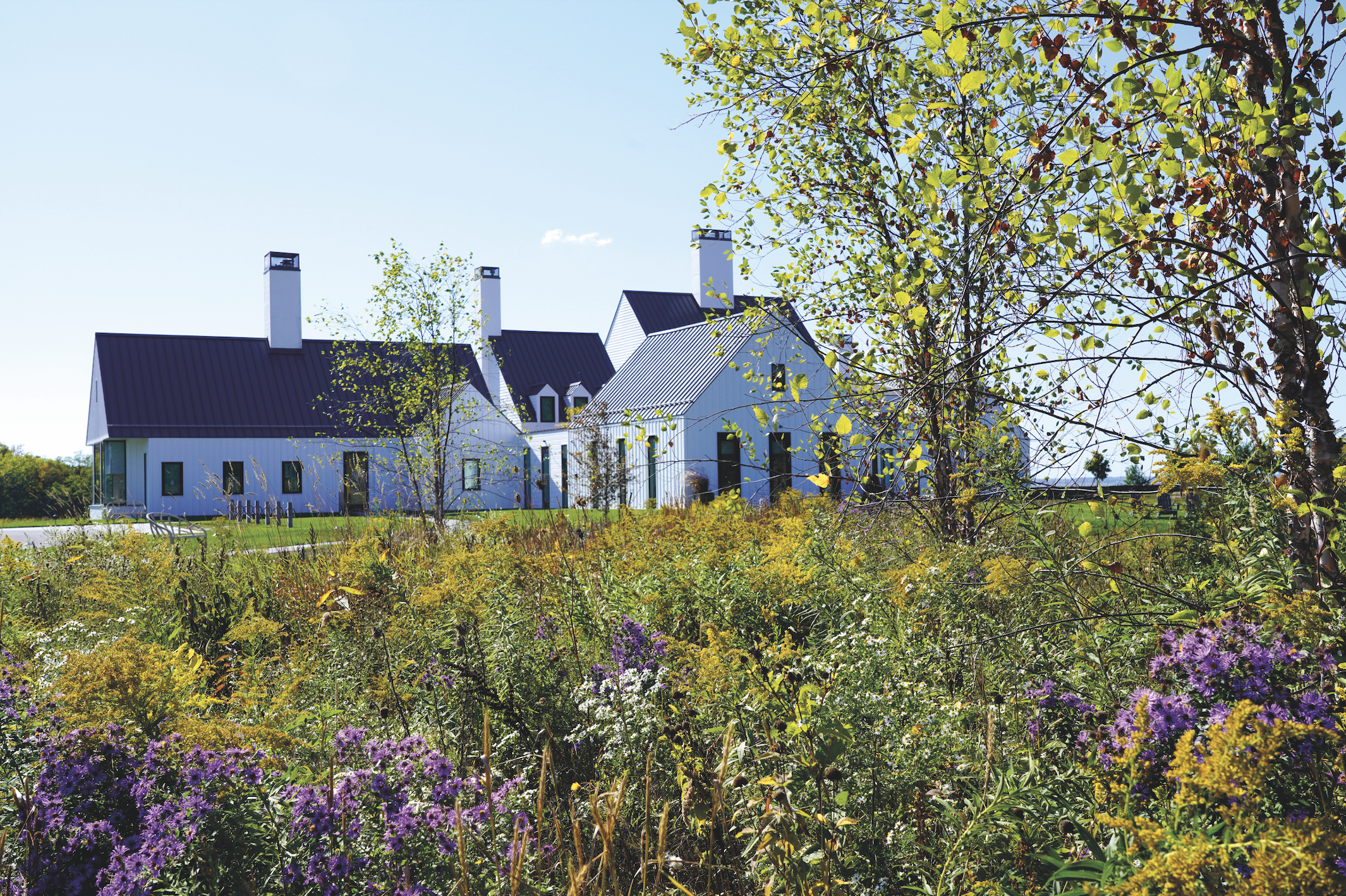 Screenshot 2026-02-27 at 12.08.25 AM.png