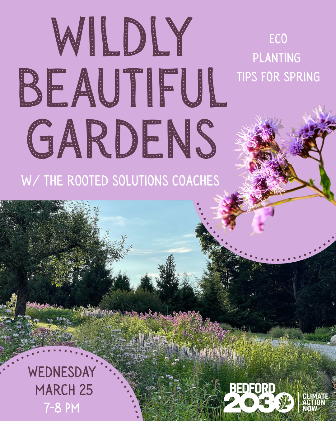 Wildly Beautiful Gardens