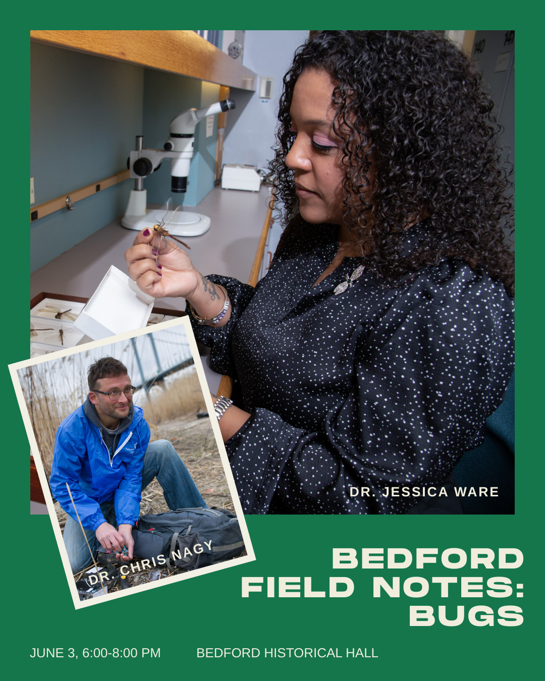 Bedford Field Notes: Bugs