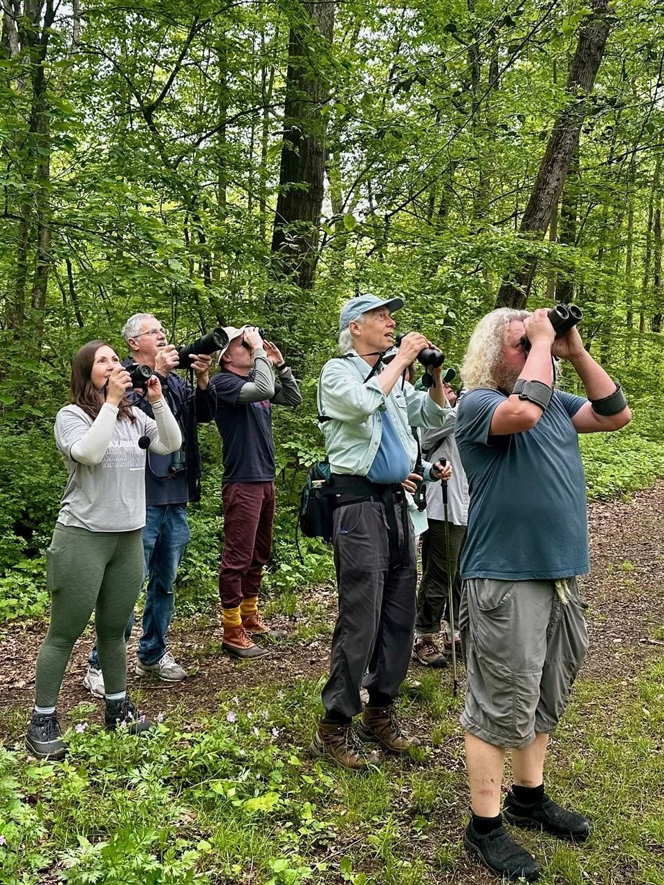 BRLA Birds & Bagels -- A Bird Walk + Breakfast!