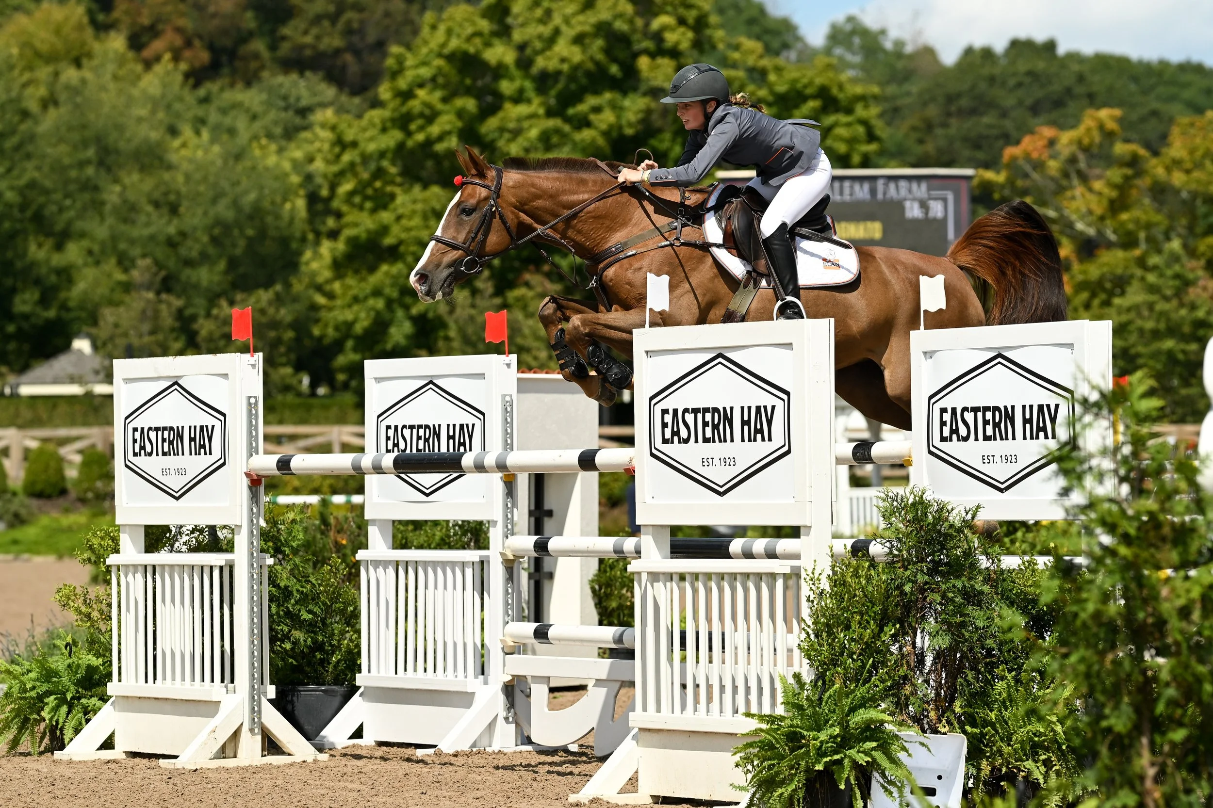 Old Salem Farm Spring Horse Shows