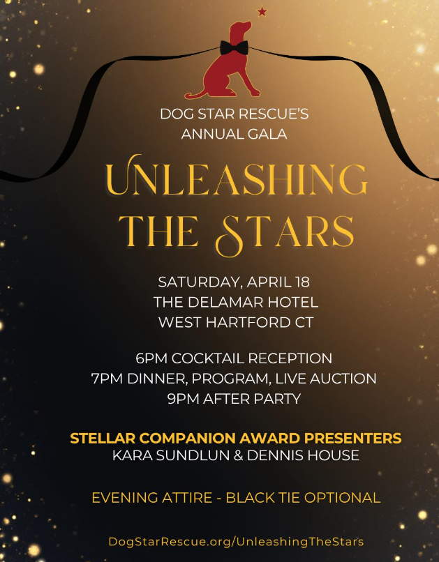 Unleashing The Stars Gala