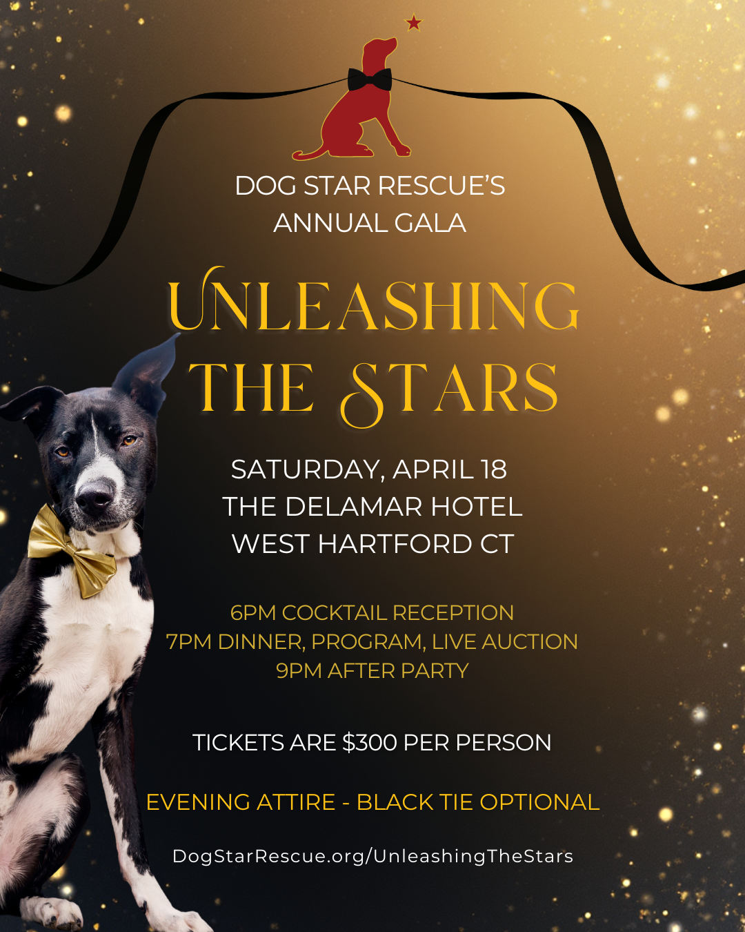 Unleashing The Stars Gala to benefit dog star rescue